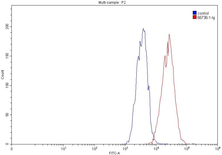 Flow cytometry (FC) experiment of HeLa cells using EPHA2 Monoclonal antibody (66736-1-Ig)