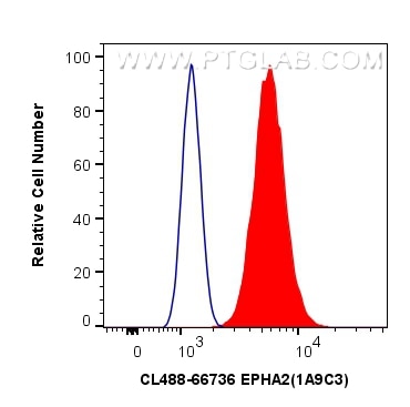 Flow cytometry (FC) experiment of A431 cells using CoraLite® Plus 488-conjugated EPHA2 Monoclonal ant (CL488-66736)