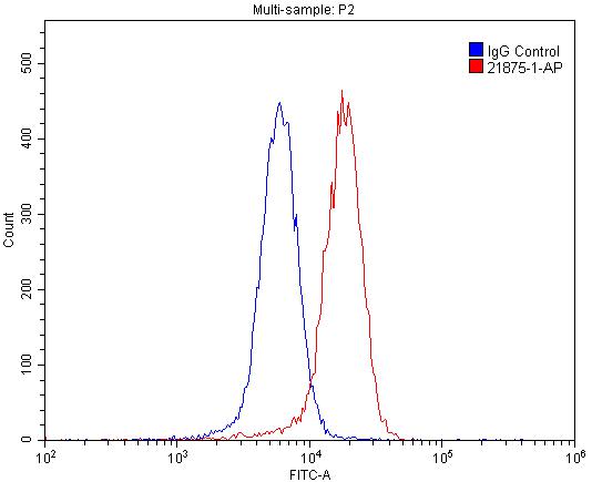 FC experiment of SH-SY5Y using 21875-1-AP