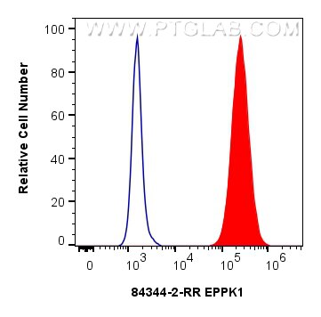 Flow cytometry (FC) experiment of MCF-7 cells using EPPK1 Recombinant antibody (84344-2-RR)