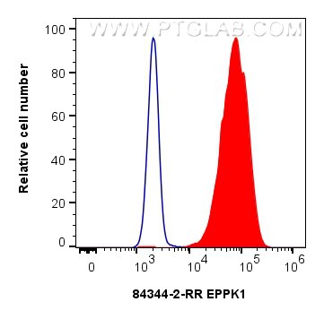 Flow cytometry (FC) experiment of HeLa cells using EPPK1 Recombinant antibody (84344-2-RR)