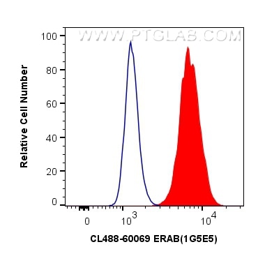 Flow cytometry (FC) experiment of HeLa cells using CoraLite® Plus 488-conjugated ERAB Monoclonal anti (CL488-60069)