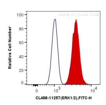 Flow cytometry (FC) experiment of HeLa cells using CoraLite® Plus 488-conjugated ERK1/2 Polyclonal an (CL488-11257)