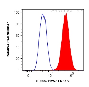 Flow cytometry (FC) experiment of MCF-7 cells using CoraLite® Plus 555-conjugated ERK1/2 Polyclonal an (CL555-11257)