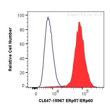 Flow cytometry (FC) experiment of HepG2 cells using CoraLite® Plus 647-conjugated ERp57/ERp60 Polyclon (CL647-15967)