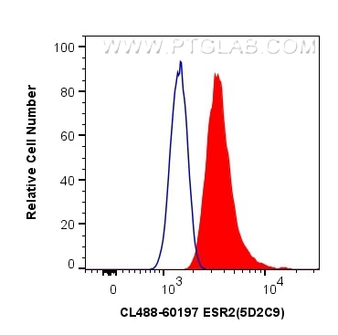Flow cytometry (FC) experiment of MCF-7 cells using CoraLite® Plus 488-conjugated ESR2 Monoclonal anti (CL488-60197)