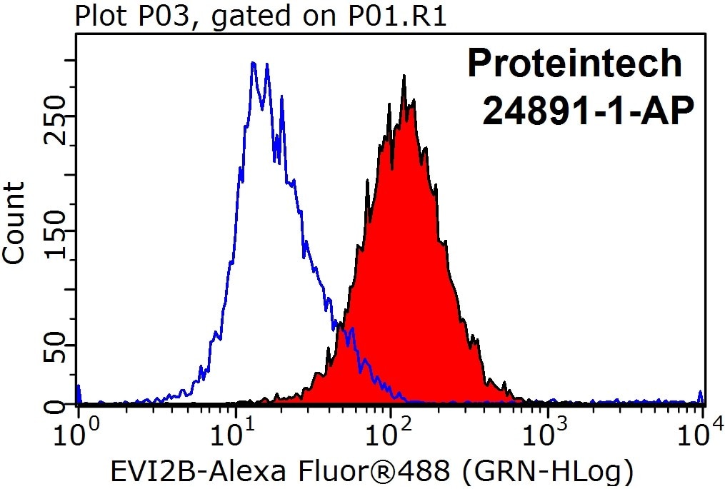 Flow cytometry (FC) experiment of Jurkat cells using EVI2B Polyclonal antibody (24891-1-AP)