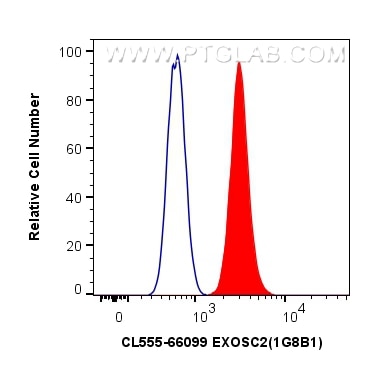 Flow cytometry (FC) experiment of HepG2 cells using CoraLite®555-conjugated EXOSC2 Monoclonal antibody (CL555-66099)