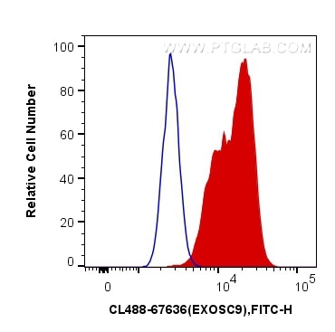 Flow cytometry (FC) experiment of HeLa cells using CoraLite® Plus 488-conjugated EXOSC9 Monoclonal an (CL488-67636)