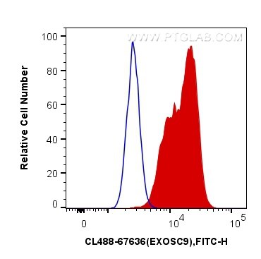 Flow cytometry (FC) experiment of HeLa cells using CoraLite® Plus 488-conjugated EXOSC9 Monoclonal an (CL488-67636)