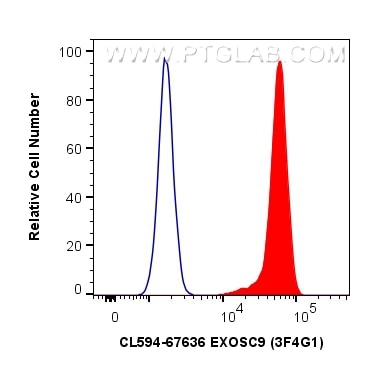 Flow cytometry (FC) experiment of HeLa cells using CoraLite®594-conjugated EXOSC9 Monoclonal antibody (CL594-67636)