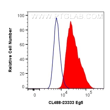Flow cytometry (FC) experiment of HeLa cells using CoraLite® Plus 488-conjugated Eg5 Polyclonal antib (CL488-23333)