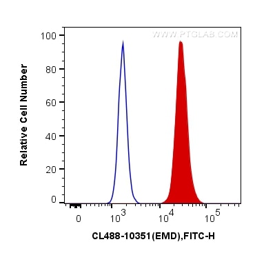Flow cytometry (FC) experiment of HeLa cells using CoraLite® Plus 488-conjugated Emerin Polyclonal an (CL488-10351)