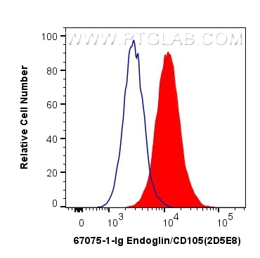 Flow cytometry (FC) experiment of HUVEC cells using Endoglin/CD105 Monoclonal antibody (67075-1-Ig)