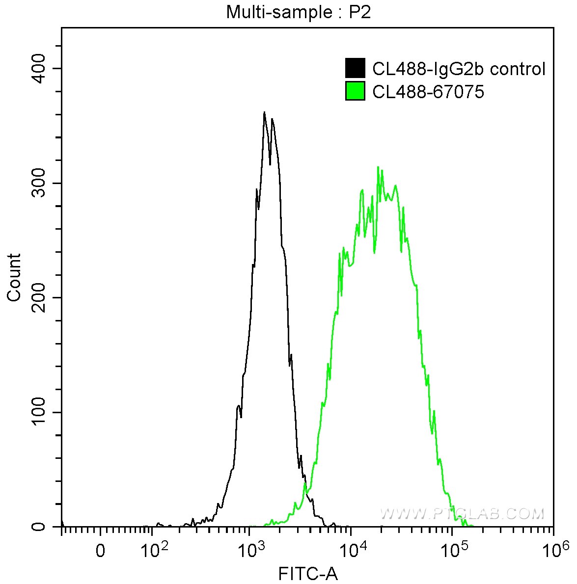 Endoglin/CD105