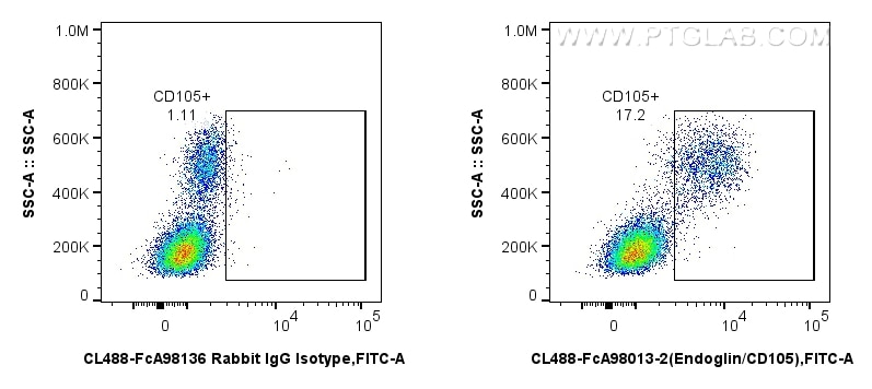 FC experiment of human PBMCs using CL488-FcA98013-2 Flow cytometry (FC) experiment of human PBMCs using FcZero-rAb® CoraLite® Plus 488 Anti-Human Endoglin (CL488-FcA98013-2)