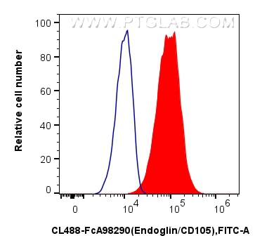 FC experiment of bEnd.3 using CL488-FcA98290 Flow cytometry (FC) experiment of bEnd.3 cells using FcZero-rAb® CoraLite® Plus 488 Anti-Mouse Endoglin (CL488-FcA98290)