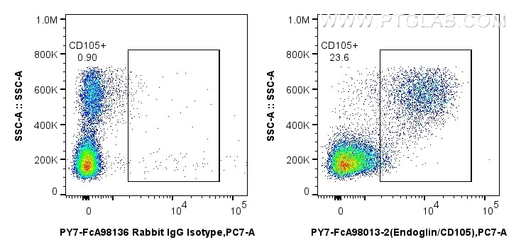 FC experiment of human PBMCs using PY7-FcA98013-2 Flow cytometry (FC) experiment of human PBMCs using FcZero-rAb® PE-Cyanine7 Anti-Human Endoglin/CD105 (PY7-FcA98013-2)