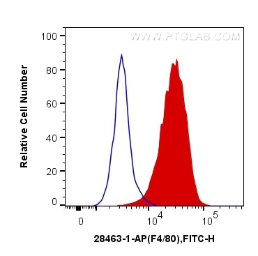 Flow cytometry (FC) experiment of RAW 264.7 cells using F4/80 Polyclonal antibody (28463-1-AP)