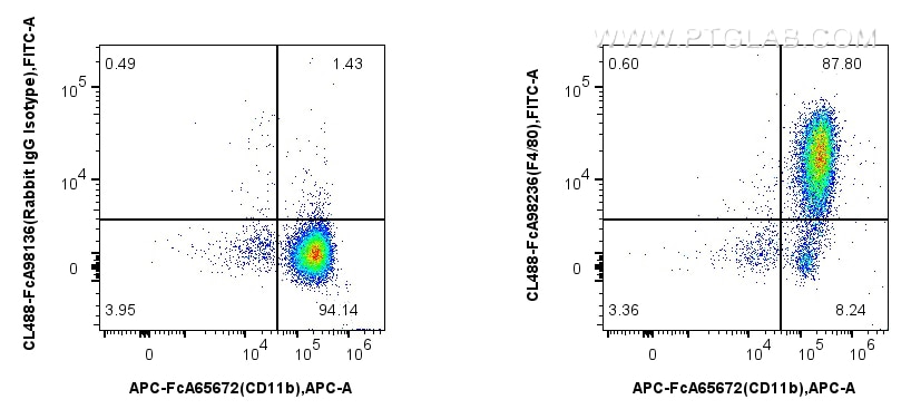 Flow cytometry (FC) experiment of mouse peritoneal macrophages using FcZero-rAb™ CoraLite® Plus 488 Anti-Mouse F4/80 Ra (CL488-FcA98236)