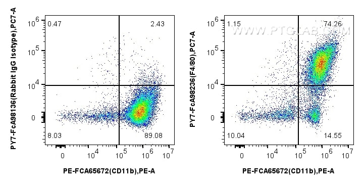 Flow cytometry (FC) experiment of mouse peritoneal macrophages using FcZero-rAb™ PE-Cyanine7 Anti-Mouse F4/80 Rabbit Re (PY7-FcA98236)