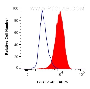 Flow cytometry (FC) experiment of HeLa cells using FABP5 Polyclonal antibody (12348-1-AP)