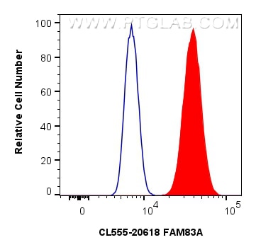 Flow cytometry (FC) experiment of HeLa cells using CoraLite®555-conjugated FAM83A Polyclonal antibody (CL555-20618)