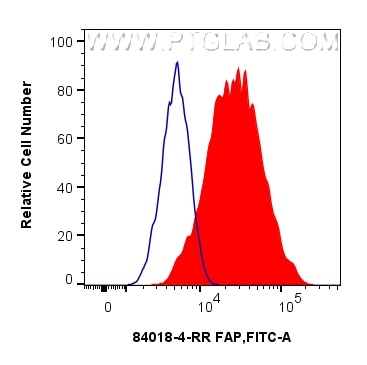 1x10^6 U-87 MG cells were surface stained with 0.25 ug FAP Recombinant monoclonal antibody (84018-4-RR, Clone:241129B4) (red) or 0.25 ug Rabbit IgG Isotype Control RecAb (98136-1-RR, Clone: 240953C9) (blue), and CoraLite®488-Conjugated Goat Anti-Rabbit IgG(H+L) (SA00013-2). Cells were not fixed. This data was developed using the same antibody clone with 84018-4-PBS in a different storage buffer formulation. Flow cytometry (FC) experiment of U-87 MG cells using FAP Recombinant monoclonal antibody (84018-4-RR)
