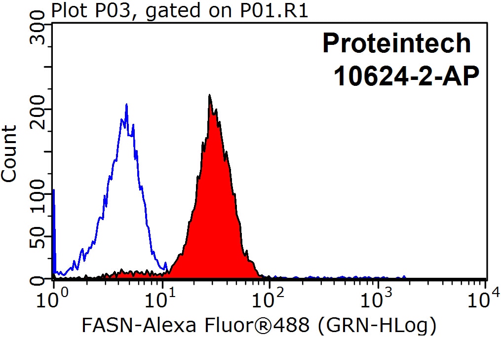 FASN Polyclonal antibody