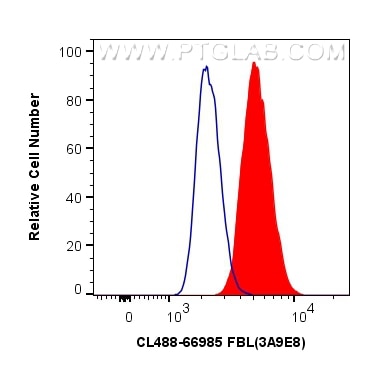 Flow cytometry (FC) experiment of HepG2 cells using CoraLite® Plus 488-conjugated FBL Monoclonal antib (CL488-66985)