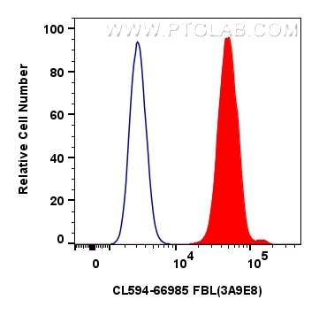 Flow cytometry (FC) experiment of HepG2 cells using CoraLite®594-conjugated FBL Monoclonal antibody (CL594-66985)