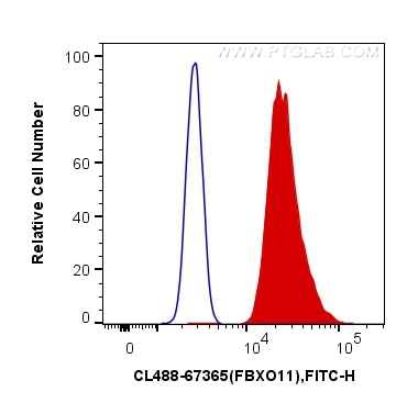 Flow cytometry (FC) experiment of HeLa cells using CoraLite® Plus 488-conjugated FBXO11 Monoclonal an (CL488-67365)