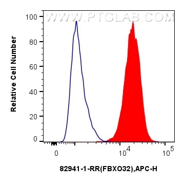 Flow cytometry (FC) experiment of U-251 cells using human FBXO32 Recombinant antibody (82941-1-RR)