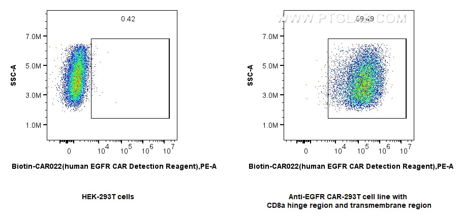 1x10^6 HEK-293 cells or anti-EGFR CAR pool with CD8a hinge region and transmembrane region transfected HEK-293 cells were surface stained with 0.25 ug FcZero-CAR™ Biotin-EGFR CAR Detection Reagent, Human (Biotin-CAR022) and Streptavidin-PE Conjugate (PE-PF00030). Cells were not fixed.
