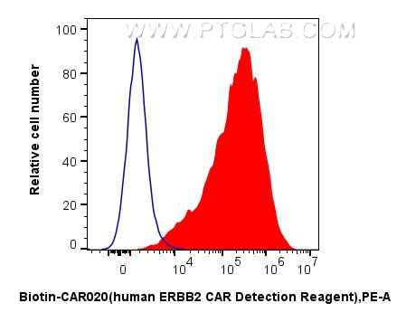 1x10^6 HEK-293 cells (blue) or anti-HER2/ErbB2 CAR pool with CD8a hinge region and transmembrane region transfected HEK-293 cells (red) were surface stained with 0.25 ug FcZero-CAR™ Biotin-HER2/ErbB2 CAR Detection Reagent, Human (Biotin-CAR020) and Streptavidin-PE Conjugate (PE-PF00030). Cells were not fixed.