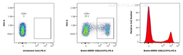 Flow cytometric analysis of human PBMCs using Biotin anti-human CD8 and CoraLite®555-conjugated Streptavidin. Human PBMCs were stained with Biotin CD8 Recombinant Antibody (Cat.No. Biotin-65559, Clone: UCHT4), washed with PBS, and stained with CoraLite®555-conjugated Streptavidin (Cat.No.CL555-PF00030) and analyzed by flow cytometry.
