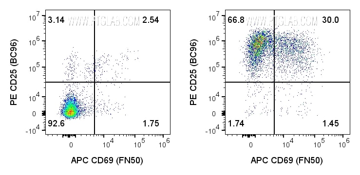 Human PBMCs were incubated for 3 days with soluble CD3 (OKT3) Recombinant Monoclonal Antibody (CT-1000-GMP) at 50 ng/mL (right) or cultured in media alone (left). 1x10^6 cells were then stained with Anti-Human CD3 (AB-65151), Anti-Human CD25 (PE-65096), Anti-Human CD69 (APC-FcA98173), and Phantom Blue 516 Viability Dye (PD00007); cells were incubated with Fc Receptor Block prior to staining. Cells were gated on singlets (FSC-H vs FSC-A), live (Phantom Dye-), and CD3+ lymphocytes. Human PBMCs were incubated for 3 days with soluble CD3 (OKT3) Recombinant Monoclonal Antibody (CT-1000-GMP) at 50 ng/mL (right) or cultured in media alone (left). 1x10^6 cells were then stained with Anti-Human CD3 (AB-65151), Anti-Human CD25 (PE-65096), Anti-Human CD69 (APC-FcA98173), and Phantom Blue 516 Viability Dye (PD00007); cells were incubated with Fc Receptor Block prior to staining. Cells were gated on singlets (FSC-H vs FSC-A), live (Phantom Dye-), and CD3+ lymphocytes.