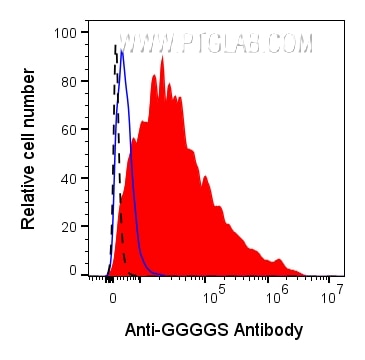0.5x10^6 GGGGS-transfected HEK293 cells were stained with 0.5ug Anti-GGGGS Recombinant Monoclonal Antibody (CT-1002) (red) or Rabbit IgG Isotype Control (98136-1-RR) (blue). 0.5x10^6 untransfected HEK293 cells were stained with 0.5ug Anti-GGGGS Recombinant Monoclonal Antibody (CT-1002-GMP) (black dashed). All cells were then stained with CL647-conjugated Donkey Anti-Rabbit Secondary (SA00014-7) at 1:500. Propidium Iodide was included in the final resuspension buffer at 1:1000.​ Cells were gated on Live (PI-), then the cell population in FSC vs. SSC, then single cells, then for positive signal in the APC-A channel.
