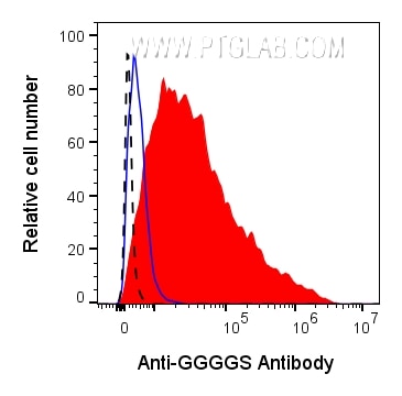 0.5x10^6 GGGGS-transfected HEK293 cells were stained with 0.5ug Anti-GGGGS Recombinant Monoclonal Antibody (CT-1002-GMP) (red) or Rabbit IgG Isotype Control (98136-1-RR) (blue). 0.5x10^6 untransfected HEK293 cells were stained with 0.5ug Anti-GGGGS Recombinant Monoclonal Antibody (CT-1002-GMP) (black dashed). All cells were then stained with CL647-conjugated Donkey Anti-Rabbit Secondary (SA00014-7) at 1:500. Propidium Iodide was included in the final resuspension buffer at 1:1000.​ Cells were gated on Live (PI-), then the cell population in FSC vs. SSC, then single cells, then for positive signal in the APC-A channel.