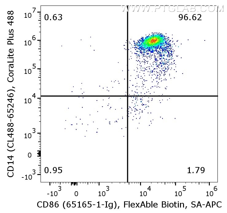 Flow Cyotometry of PBMC.  1X10^6 human PBMC were stained with anti-human CD86 antibody (65156-1-Ig) labeled with FlexAble Biotin Antibody Labeling Kit for Mouse IgG1 (KFA027) and Streptavidin-APC. The cells were co-stained with either mouse IgG2b isotype control or anti-human CD14 antibody (CL488-65246).  Cells are not fixed, Monocytes are gated. 