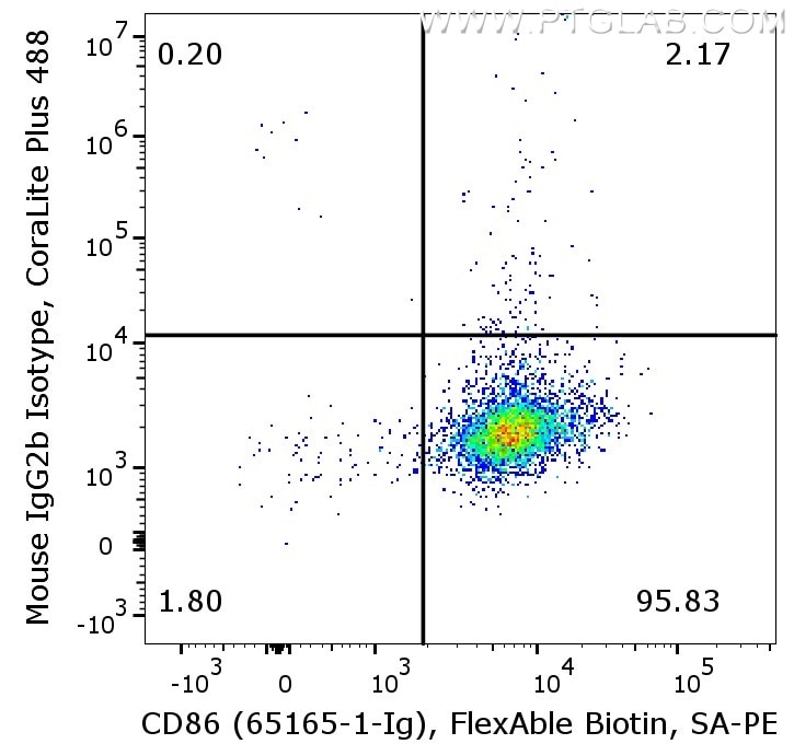 Flow cytometry of PBMC. 1X10^6 human PBMC were stained with anti-human CD86 antibody (65156-1-Ig) labeled with FlexAble Biotin Antibody Labeling Kit for Mouse IgG1 (KFA027) and Streptavidin-PE.  The cells were co-stained with either mouse IgG2b isotype control or anti-human CD14 antibody (CL488-65246).  Cells are not fixed, Monocytes are gated.
