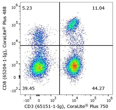 Flow cytometry of PBMC. 1X10^6 human peripheral blood mononuclear cells (PBMCs) were stained with anti-human CD3 (clone UCHT1, 65151-1-Ig) labeled with FlexAble CoraLite® Plus 7505 Kit (KFA024) and anti-human CD8 (clone UCHT4, 65204-1-Ig) labeled with FlexAble CoraLite® Plus 488 Kit (KFA041).
