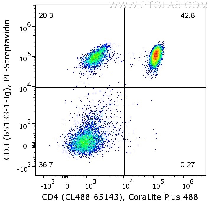 Flow cytometry with PBMC. 1X10^6 human PBMC were stained with either mouse IgG2a isotype control or anti-human CD3 antibody (65133-1-Ig), which are labeled with FlexAble Biotin Antibody Labeling Kit for Mouse IgG2a (KFA047) and PE-Streptavidin. Cells were co-stained with anti-human CD4 antibody (CL488-65143). Cells are not fixed, lymphocytes are gated. 