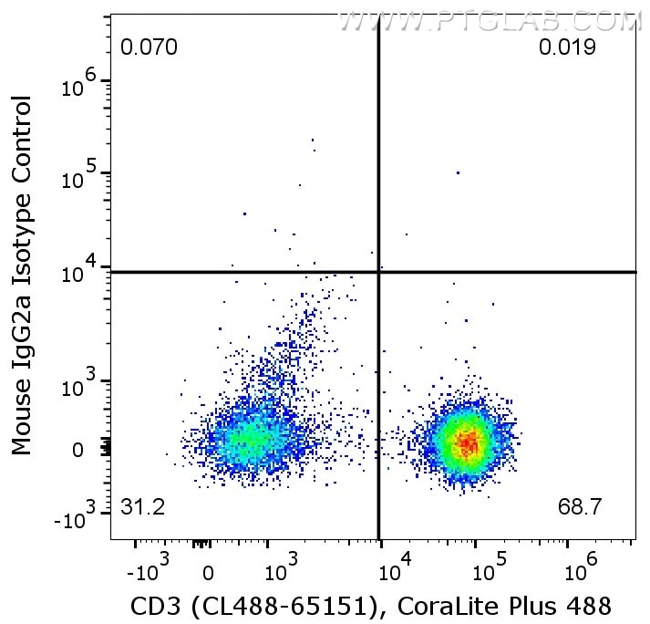 Flow cytometry of PBMC. 1X10^6 human PBMC were stained with either mouse IgG2a isotype control or anti-human CD8 antibody (65135-1-Ig), which are labeled with FlexAble Biotin Antibody Labeling Kit for Mouse IgG2a (KFA047) and Streptavidin-PE. Cells were co-stained with anti-human CD3 antibody (CL488-65151). Cells are not fixed, lymphocytes are gated.