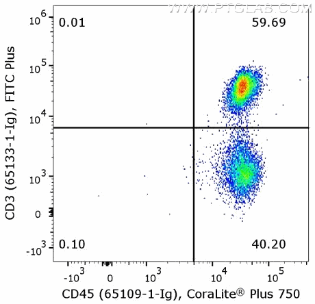 Flow cytometry of PBMC. 1X10^6 human peripheral blood mononuclear cells (PBMCs) were stained with anti-human CD45 (clone HI30, 65109-1-Ig) labeled with FlexAble CoraLite® Plus 750 Kit (KFA024) and anti-human CD3 (clone OKT3, 65133-1-Ig) labeled with FlexAble FITC Plus Kit (KFA048).​