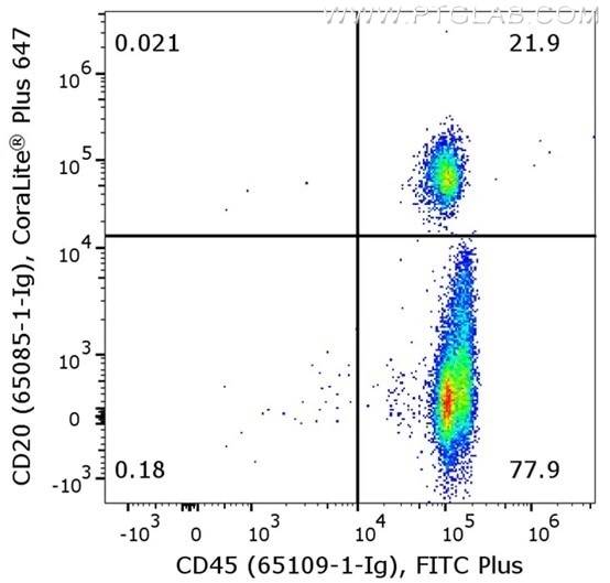 Flow cytometry of PBMC. 1X10^6 human peripheral blood mononuclear cells (PBMCs) were stained with anti-human CD45 (clone HI30, 65109-1-Ig) labeled with FlexAble FITC Plus Kit (KFA028) and anti-human CD20 (clone 2G7, 65085-1-Ig) labeled with FlexAble CoraLite® Plus 647 Kit (KFA063).​