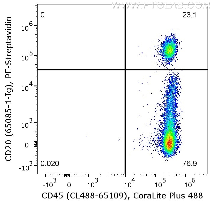 Flow cytometry of PBMC.  1X10^6 human PBMC were stained with either mouse IgG2b isotype control or anti-human CD20 antibody (65085-1-Ig), which are labeled with FlexAble Biotin Antibody Labeling Kit for Mouse IgG2b (KFA067) and Streptavidin-PE. Cells were co-stained with anti-human CD45 antibody (CL488-65109). Cells are not fixed, lymphocytes are gated.