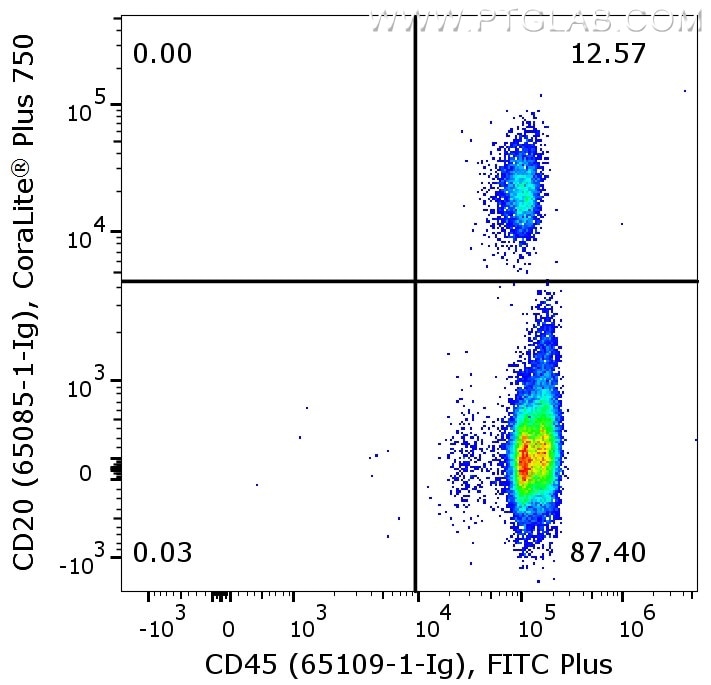 Flow cytometry of PBMC. 1X10^6 human peripheral blood mononuclear cells (PBMCs) were stained with anti-human CD45 (clone HI30, 65109-1-Ig) labeled with FlexAble FITC Plus Kit (KFA028) and anti-human CD20 (clone 2G7, 65085-1-Ig) labeled with FlexAble CoraLite Plus 750 Kit (KFA064).