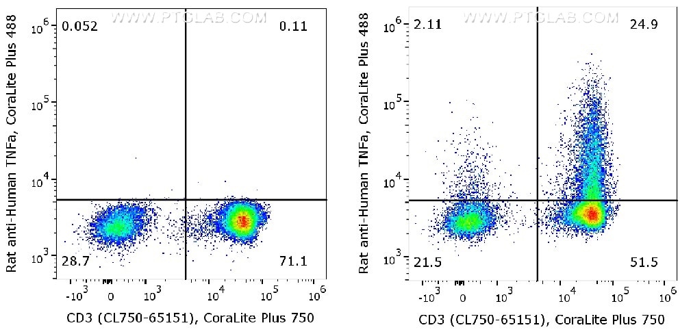 Human peripheral blood lymphocytes (PBMC) were either un-stimulated (left) or stimulated with PMA and Ionomycin for 6 hours in the presence of monensin (right). ​
Cells were fixed and permeabilized with Foxp3/Transcription Factor Staining Buffer Kit (PF00011). After wash, cells were stained with rat anti-human TNF-α antibody labeled with FlexAble CoraLite® Plus 488 for Rat Kappa Light Chain (KFA121) and CD3 antibody (CL750-65151).