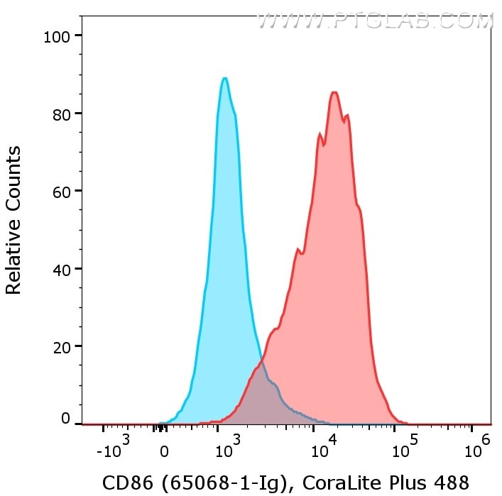 1X10^6 of LPS treated mouse splenocytes were surface stained with rat anti-Mouse CD86 (65068-1-Ig, Clone: GL1, red) or rat IgG2a isotype control (65209-1-Ig, blue) labeled with FlexAble CoraLite® Plus 488 for Rat Kappa Light Chain (KFA121). Cells were not fixed.